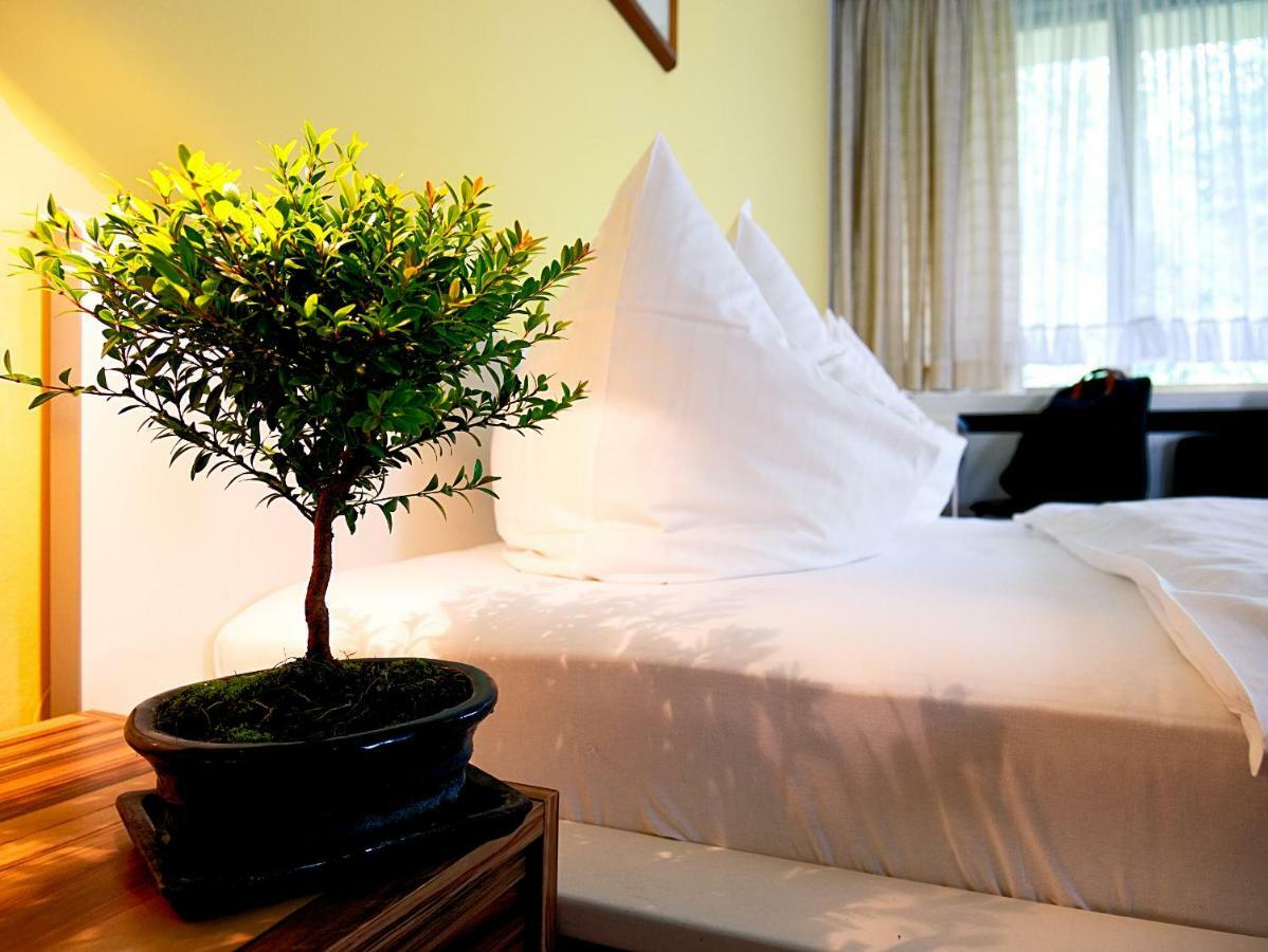 Hotel Albrechtshof Gohrisch Екстериор снимка